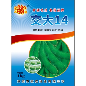 安徽毛豆种子-交大14